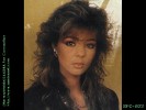 sandra-52870.jpg