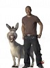 soundtrack-shrek-38076.jpg