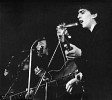 george-harrison-176983.jpg