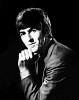 george-harrison-176985.jpg