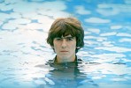 george-harrison-265965.jpg