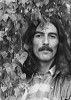 george-harrison-410727.jpg