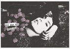 belinda-375635.png
