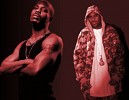 dmx-51144.jpg