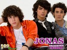 jonas-brothers-199143.jpg