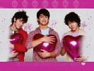 jonas-brothers-22924.jpg