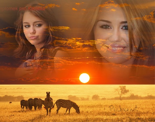 Miley Cyrus Miley Cyrus