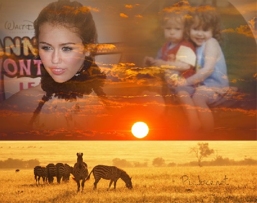 Miley Cyrus Miley Cyrus