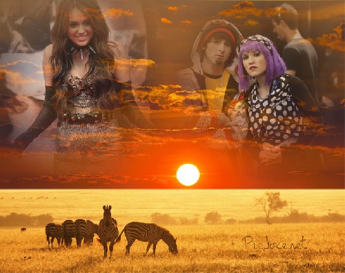 Miley Cyrus Miley Cyrus