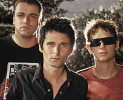 muse-1028.jpg