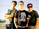 green-day-398770.jpeg