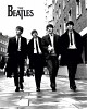 the-beatles-365247.jpg