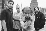 soulfly-246295.jpg