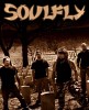 soulfly-246304.jpg