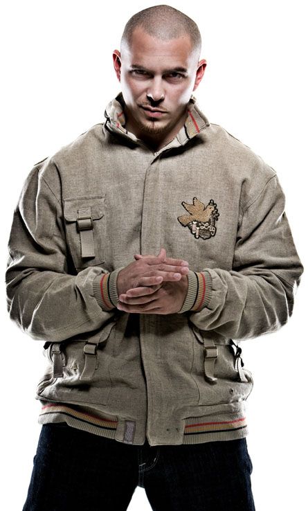 Pitbull pitbull-45935.jpg