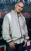 pitbull-255270.jpg