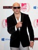pitbull-385609.jpg
