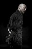 pitbull-385630.jpg