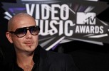 pitbull-385639.jpg