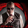 pitbull-385640.jpg