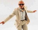 pitbull-385642.jpg