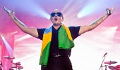 pitbull-388448.jpg