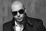 pitbull-403174.jpg