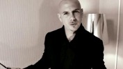 pitbull-403175.jpg
