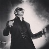 pitbull-413067.jpg