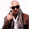 pitbull-413068.png