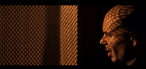 pitbull-413069.png