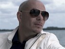 pitbull-414828.jpg