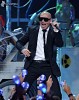 pitbull-421630.jpg
