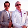 pitbull-421631.jpg