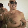 pitbull-421632.jpg