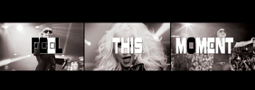 pitbull-421633.png