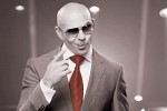 pitbull-421638.jpg