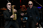 pitbull-422704.png