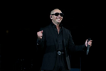 pitbull-422705.png