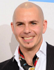 pitbull-428217.png