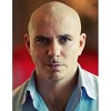 pitbull-428219.jpg