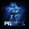 pitbull-428476.jpg