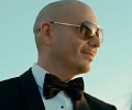 pitbull-433856.jpg