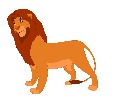 lion-king-lvi-kral-325454.jpg