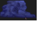 lion-king-lvi-kral-354015.png