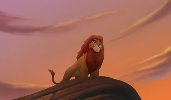 lion-king-lvi-kral-354018.png