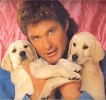 david-hasselhoff-194501.jpg