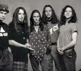 pearl-jam-396717.jpg