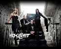 skillet-112901.jpg