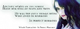 within-temptation-439292.jpg